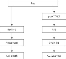 https://www.archivesofmedicalscience.com/f/fulltexts/119022/AMS-20-1-119022-g004_min.jpg