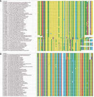 https://www.archivesofmedicalscience.com/f/fulltexts/119704/AMS-2020-40234-g005_min.jpg