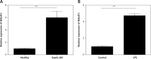https://www.archivesofmedicalscience.com/f/fulltexts/119783/AMS-21-2-119783-g001_min.jpg