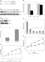 https://www.archivesofmedicalscience.com/f/fulltexts/119857/AMS-21-2-119857-g004_min.jpg
