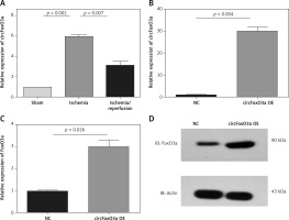 https://www.archivesofmedicalscience.com/f/fulltexts/122719/AMS-22-1-122719-g005_min.jpg