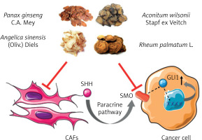 https://www.archivesofmedicalscience.com/f/fulltexts/122786/AMS-22-2-122786-g005_min.jpg