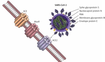 https://www.archivesofmedicalscience.com/f/fulltexts/123876/AMS-17-2-123876-g001_min.jpg