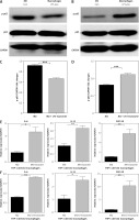 https://www.archivesofmedicalscience.com/f/fulltexts/124646/AMS-22-2-124646-g006_min.jpg