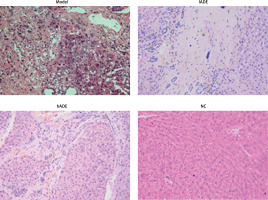 https://www.archivesofmedicalscience.com/f/fulltexts/124647/AMS-22-3-124647-g002_min.jpg