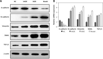 https://www.archivesofmedicalscience.com/f/fulltexts/124647/AMS-22-3-124647-g005_min.jpg