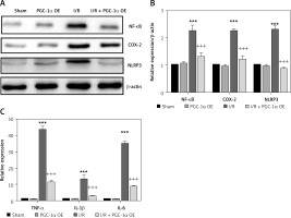 https://www.archivesofmedicalscience.com/f/fulltexts/124998/AMS-22-3-124998-g003_min.jpg