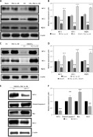https://www.archivesofmedicalscience.com/f/fulltexts/124998/AMS-22-3-124998-g004_min.jpg