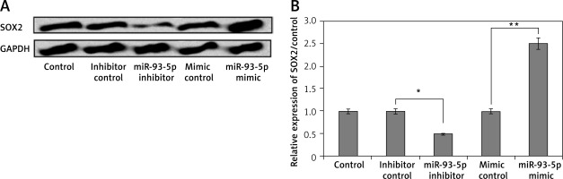 https://www.archivesofmedicalscience.com/f/fulltexts/125000/AMS-22-2-125000-g003_min.jpg