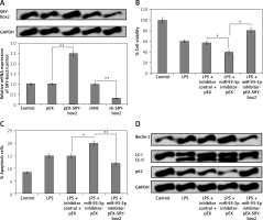https://www.archivesofmedicalscience.com/f/fulltexts/125000/AMS-22-2-125000-g004_min.jpg