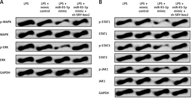 https://www.archivesofmedicalscience.com/f/fulltexts/125000/AMS-22-2-125000-g006_min.jpg