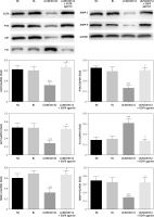 https://www.archivesofmedicalscience.com/f/fulltexts/125423/AMS-22-2-125423-g007_min.jpg
