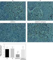 https://www.archivesofmedicalscience.com/f/fulltexts/125423/AMS-22-2-125423-g014_min.jpg