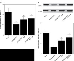 https://www.archivesofmedicalscience.com/f/fulltexts/125788/AMS-22-3-125788-g003_min.jpg