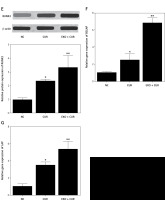 https://www.archivesofmedicalscience.com/f/fulltexts/125788/AMS-22-3-125788-g005_min.jpg