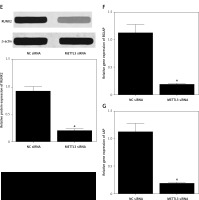 https://www.archivesofmedicalscience.com/f/fulltexts/125788/AMS-22-3-125788-g006_min.jpg