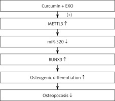 https://www.archivesofmedicalscience.com/f/fulltexts/125788/AMS-22-3-125788-g008_min.jpg