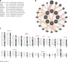 https://www.archivesofmedicalscience.com/f/fulltexts/126318/AMS-18-2-126318-g002_min.jpg