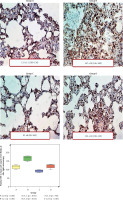 https://www.archivesofmedicalscience.com/f/fulltexts/126417/AMS-22-3-126417-g003_min.jpg