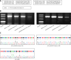 https://www.archivesofmedicalscience.com/f/fulltexts/126505/AMS-22-3-126505-g001_min.jpg