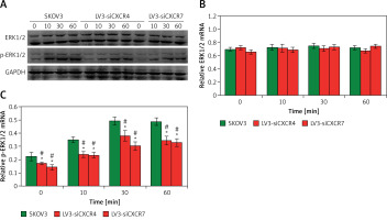 https://www.archivesofmedicalscience.com/f/fulltexts/126505/AMS-22-3-126505-g007_min.jpg