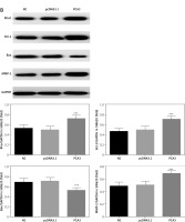 https://www.archivesofmedicalscience.com/f/fulltexts/126839/AMS-22-3-126839-g004_min.jpg