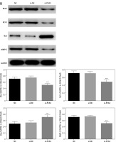 https://www.archivesofmedicalscience.com/f/fulltexts/126839/AMS-22-3-126839-g007_min.jpg