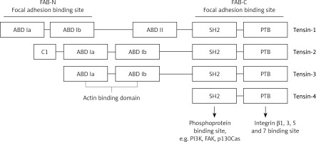 https://www.archivesofmedicalscience.com/f/fulltexts/127085/AMS-19-5-127085-g001_min.jpg