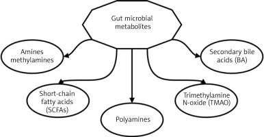https://www.archivesofmedicalscience.com/f/fulltexts/127177/AMS-22-4-127177-g001_min.jpg