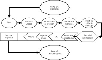 https://www.archivesofmedicalscience.com/f/fulltexts/127177/AMS-22-4-127177-g003_min.jpg