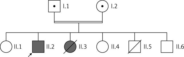 https://www.archivesofmedicalscience.com/f/fulltexts/127368/AMS-22-4-127368-g002_min.jpg