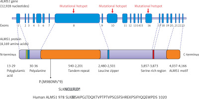 https://www.archivesofmedicalscience.com/f/fulltexts/127368/AMS-22-4-127368-g003_min.jpg