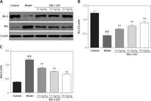 https://www.archivesofmedicalscience.com/f/fulltexts/127588/AMS-22-4-127588-g004_min.jpg
