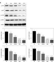 https://www.archivesofmedicalscience.com/f/fulltexts/127589/AMS-22-4-127589-g003_min.jpg
