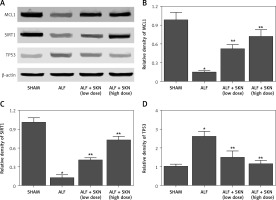 https://www.archivesofmedicalscience.com/f/fulltexts/127659/AMS-22-4-127659-g005_min.jpg
