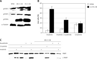 https://www.archivesofmedicalscience.com/f/fulltexts/127894/AMS-17-1-127894-g004_min.jpg