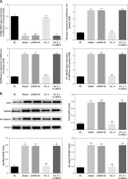 https://www.archivesofmedicalscience.com/f/fulltexts/128013/AMS-22-4-128013-g005_min.jpg