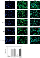 https://www.archivesofmedicalscience.com/f/fulltexts/128013/AMS-22-4-128013-g006_min.jpg