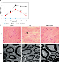 https://www.archivesofmedicalscience.com/f/fulltexts/128103/AMS-21-3-128103-g001_min.jpg