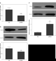 https://www.archivesofmedicalscience.com/f/fulltexts/133731/AMS-22-3-133731-g006_min.jpg