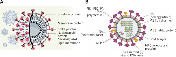 https://www.archivesofmedicalscience.com/f/fulltexts/135703/AMS-19-5-135703-g001_min.jpg