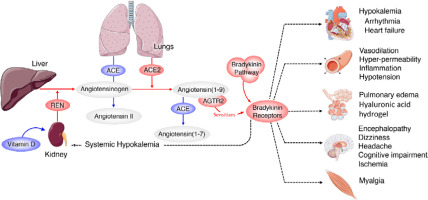 https://www.archivesofmedicalscience.com/f/fulltexts/135703/AMS-19-5-135703-g011_min.jpg