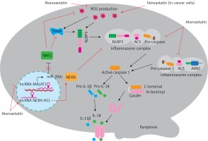 https://www.archivesofmedicalscience.com/f/fulltexts/141155/AMS-17-5-141155-g001_min.jpg