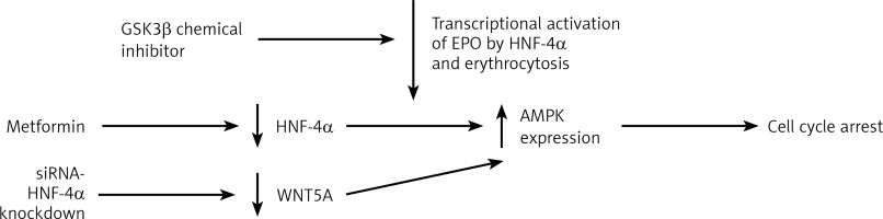 https://www.archivesofmedicalscience.com/f/fulltexts/141219/AMS-19-6-141219-g003_min.jpg