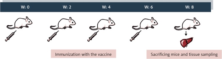 https://www.archivesofmedicalscience.com/f/fulltexts/152000/AMS-19-1-152000-g001_min.jpg