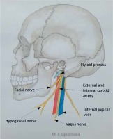 https://www.archivesofmedicalscience.com/f/fulltexts/152753/AMS-18-5-152753-g001_min.jpg