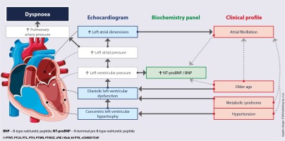 https://www.archivesofmedicalscience.com/f/fulltexts/152921/AMS-18-5-152921-g007_min.jpg