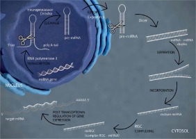 https://www.archivesofmedicalscience.com/f/fulltexts/153500/AMS-18-6-153500-g001_min.jpg