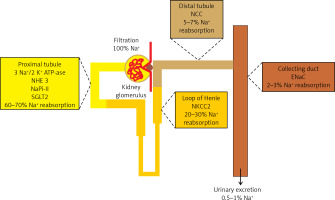 https://www.archivesofmedicalscience.com/f/fulltexts/161578/AMS-19-6-161578-g002_min.jpg