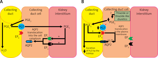 https://www.archivesofmedicalscience.com/f/fulltexts/161578/AMS-19-6-161578-g005_min.jpg